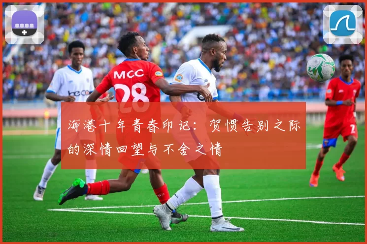 海港十年青春印记：贺惯告别之际的深情回望与不舍之情